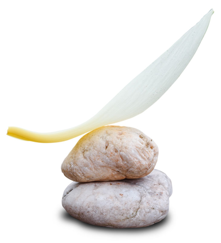 Courtier Financier. Votre partenaire de confiance en courtage financier avec des solutions sur mesure en épargne, assurances, crédit et immobilier.